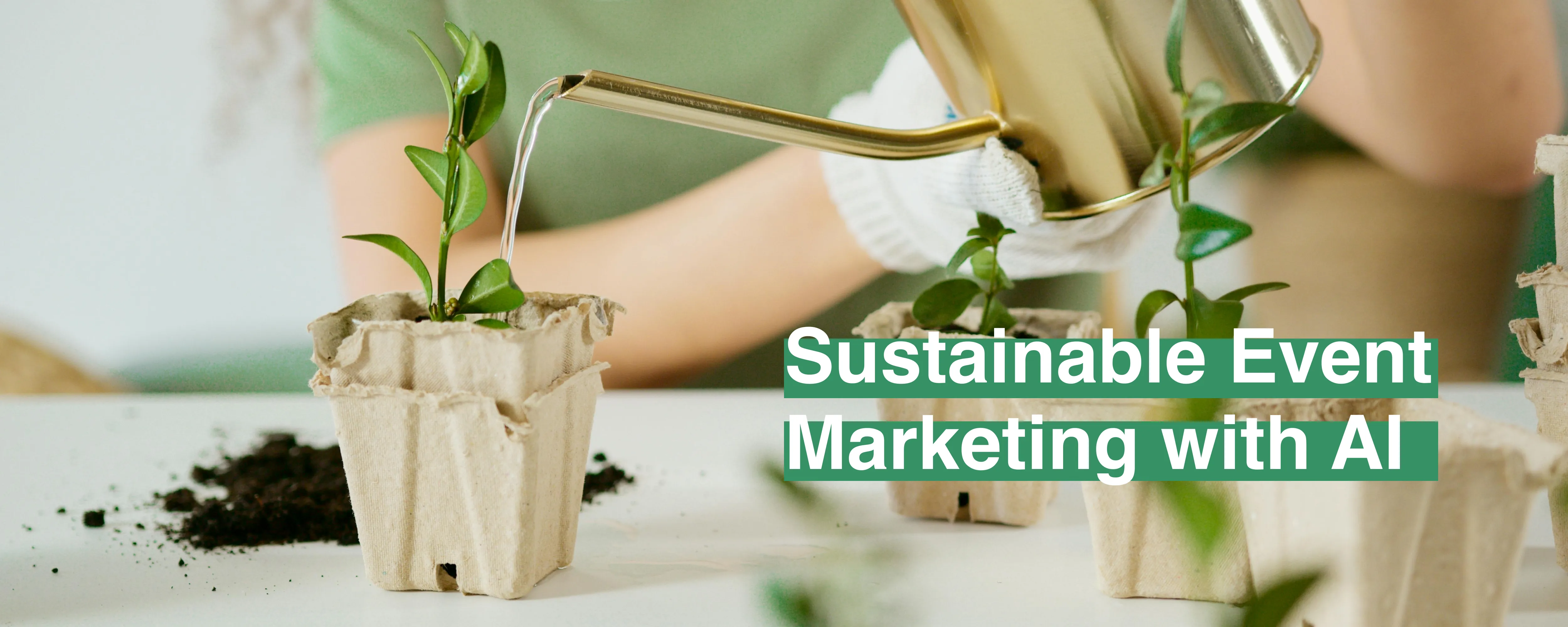 Sustainable Event Marketing with AI