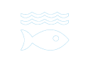 LIFE BELOW WATER